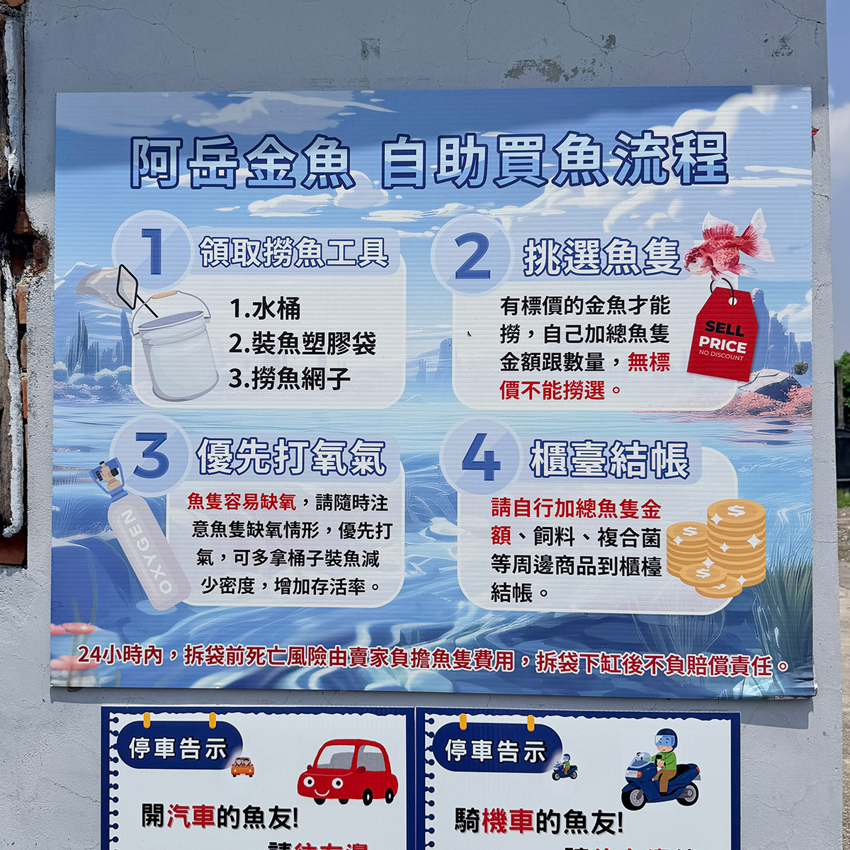 阿岳金魚｜全台最大觀光金魚場