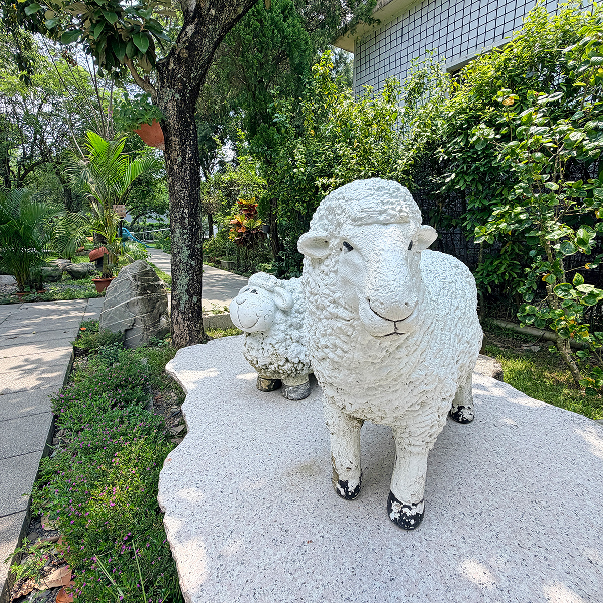 囍羊羊牧場